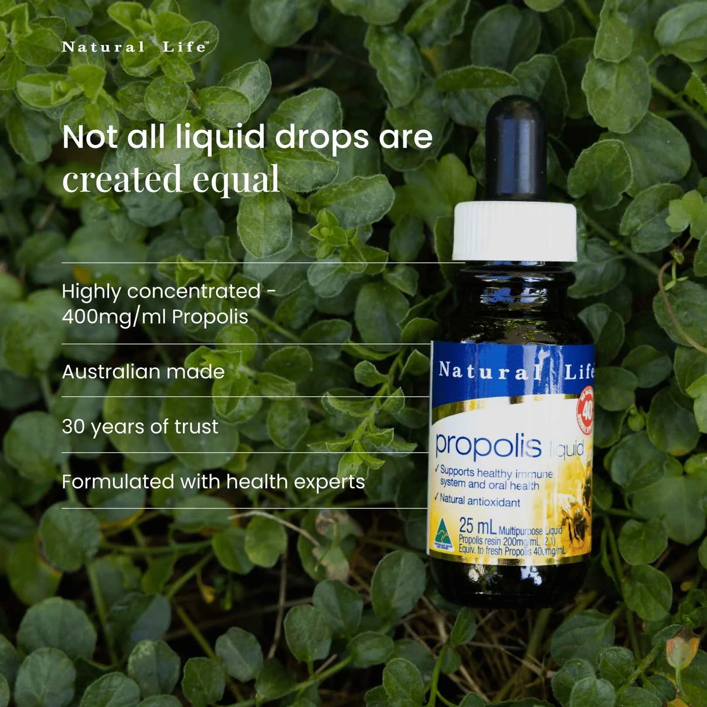 Natural Life プロポリス リキッド 25mL【ノンアルコール・超高濃度40%】喉のイガイガを直接ブロック！フラボノイドが守り抜く天然のバリアエキス